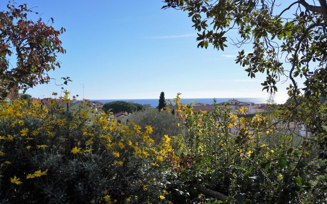 Area verde con vista sul mare